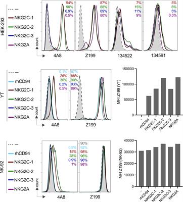 Detailed phenotypic and functional characterization of CMV-associated adaptive NK cells in rhesus macaques